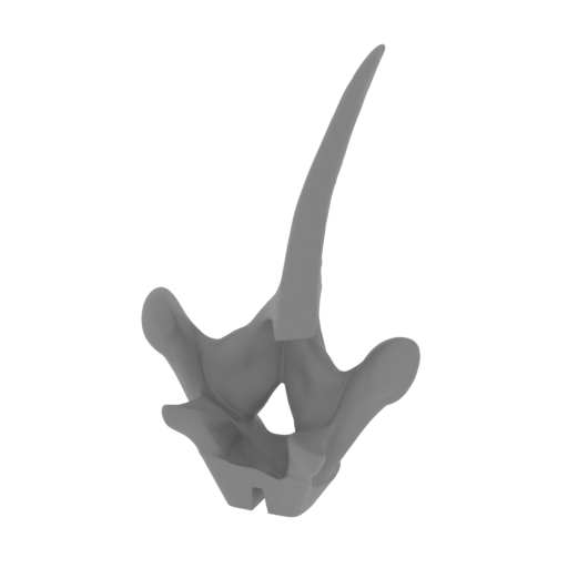 47_spike_top_15_FDM(repaired).stl