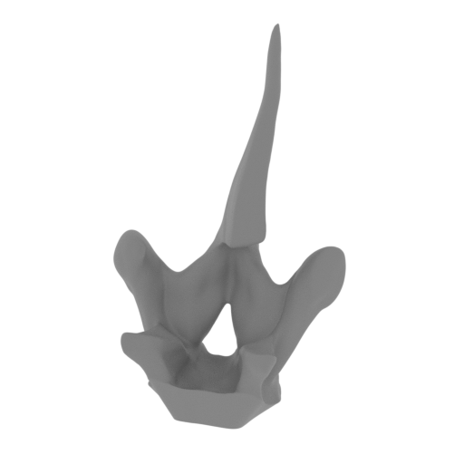 48_spike_top_16_FDM(repaired).stl