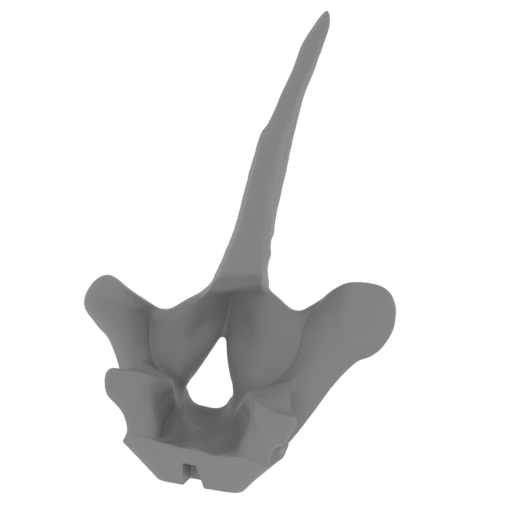 50_spike_top_18_FDM(repaired).stl