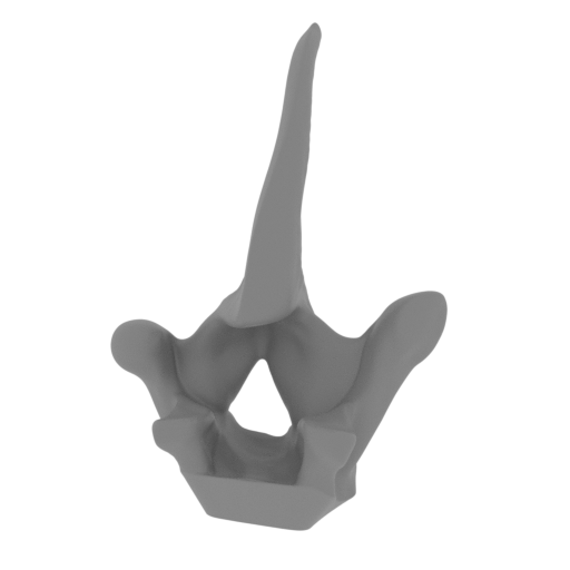 51_spike_top_19_FDM(repaired).stl