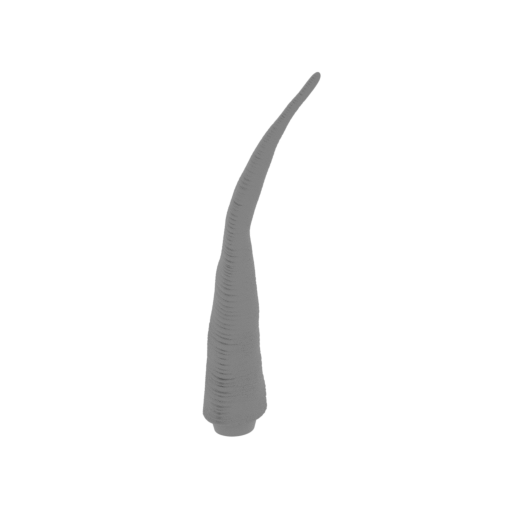 27_tail_baby_FDM(repaired).stl