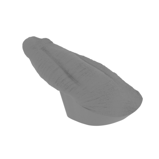 30_leg_R_baby_FDM(repaired).stl