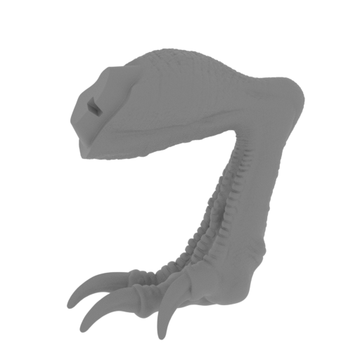 31_foot_R_baby_FDM(repaired).stl