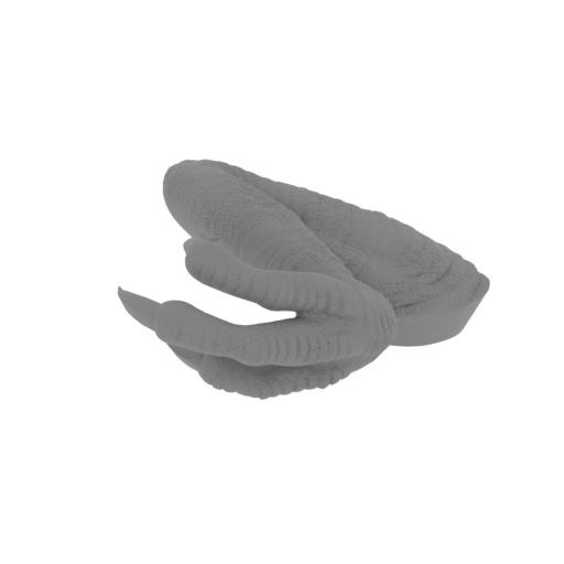 34_baby_arm_R_FDM(repaired).stl