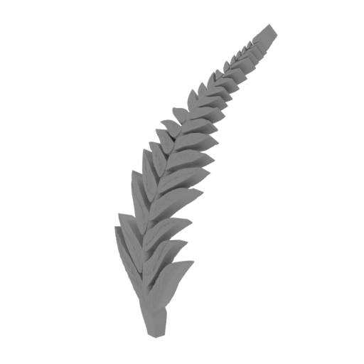 43_fern_4_FDM(repaired).stl