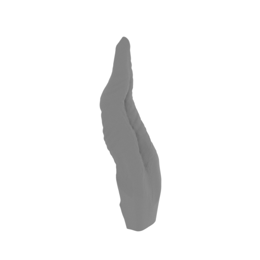 4_Trex_tongue_FDM(repaired).stl