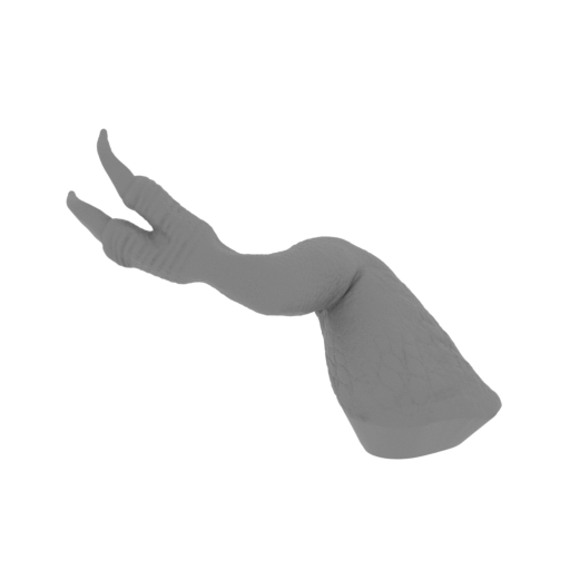 12_Trex_arm_R_FDM(repaired).stl