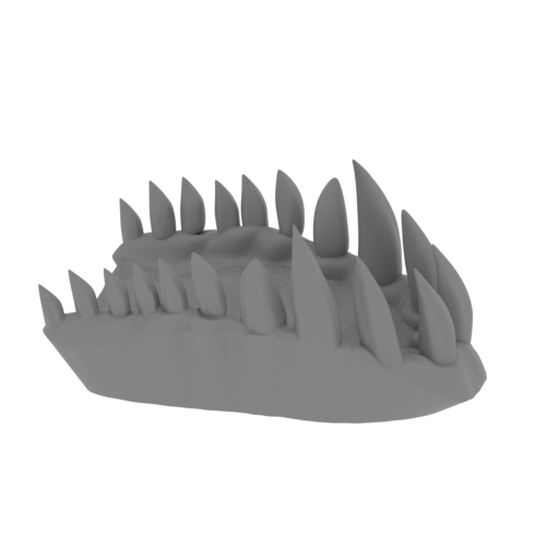 2_Trex_jaw_top_FDM(repaired).stl