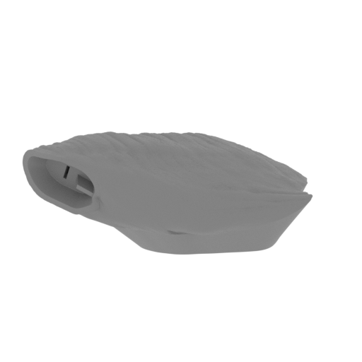 17_Trex_leg_L_1_FDM(repaired).stl