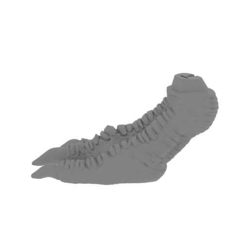 19_Trex_leg_L_3_FDM(repaired).stl