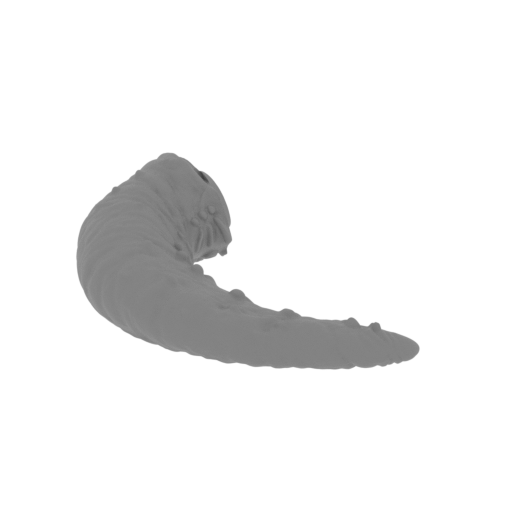 6_Jabba_the_Hutt_tail_3_FDM(repaired).stl