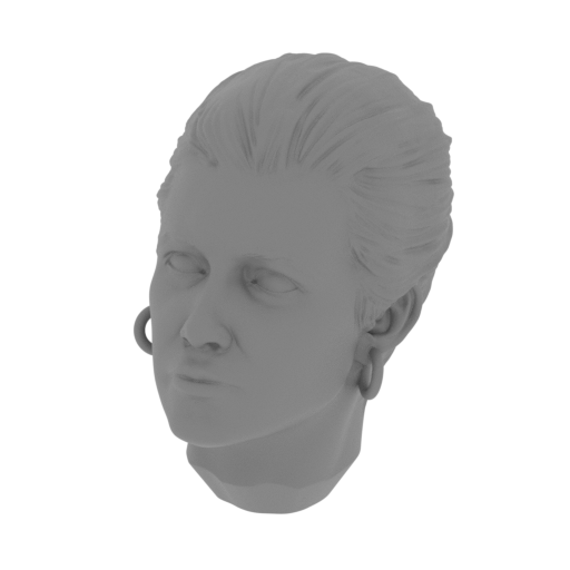 11_Princess_Leia_head_FDM(repaired).stl