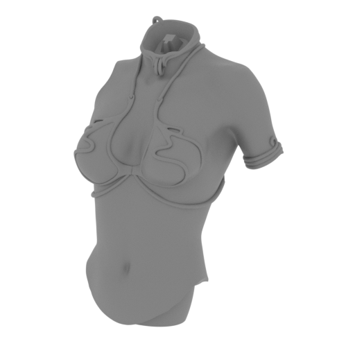 12_Princess_Leia_body_FDM(repaired).stl