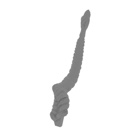 23_Princess_Leia_tress_2_FDM(repaired).stl