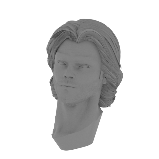 1_Sam_head_FDM(repaired).stl