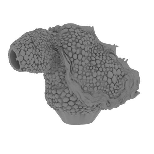 7_arm_R_FDM(repaired).stl