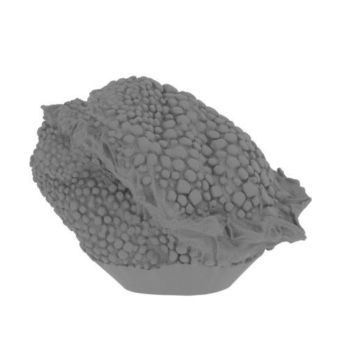 11_leg_R_FDM(repaired).stl