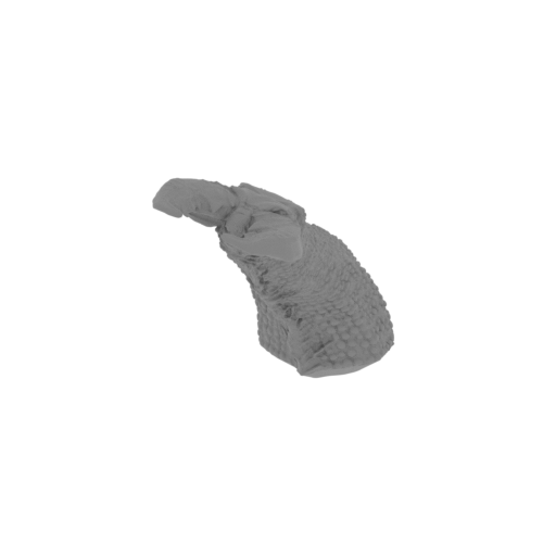 17_tail_3_FDM(repaired).stl