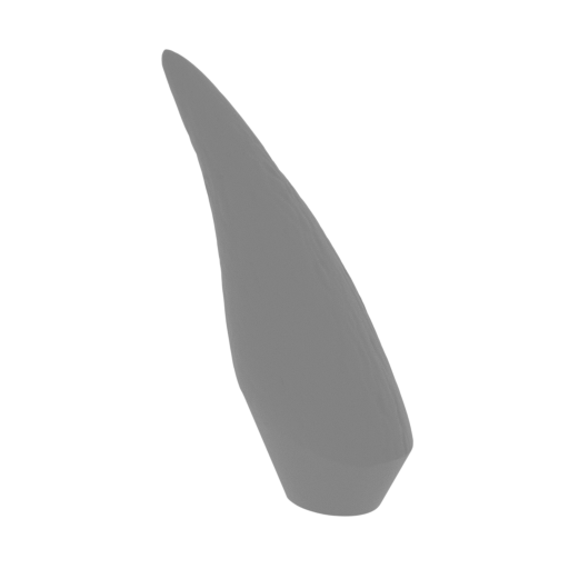 2_fang_top_R_FDM(repaired).stl