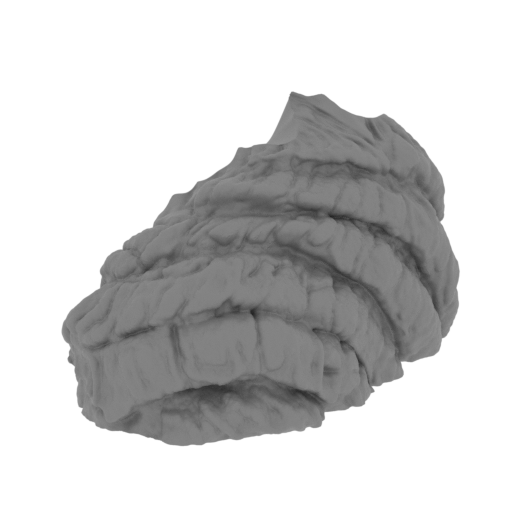 10_shoulder_L_FDM(repaired).stl