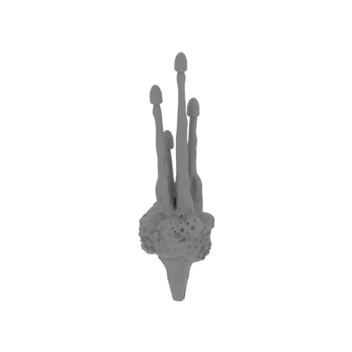 21_Rocket_Raccoon_bullets_from_railgun_FDM(repaired).stl