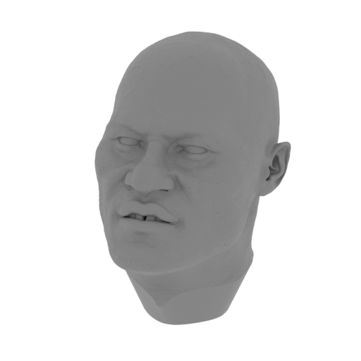 1_head_without_glasses_FDM(repaired).stl