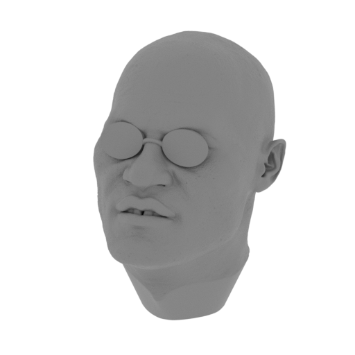 2_head_with_glasses_FDM(repaired).stl