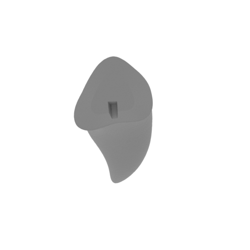 22_head_tail_clean_3_FDM(repaired).stl