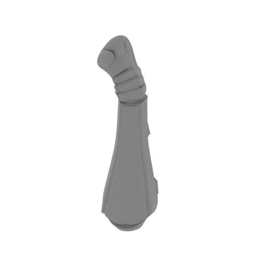 15_foot_R_FDM(repaired).stl