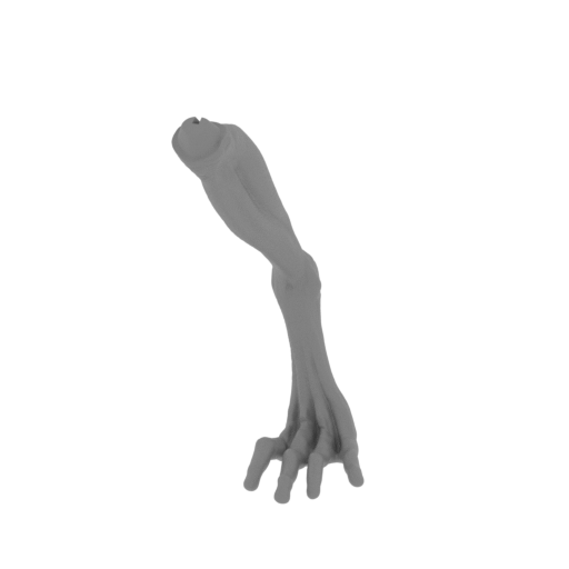 12_Alien_Newborn_foot_L_FDM(repaired).stl