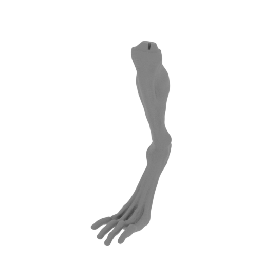 10_Alien_Newborn_foot_R_FDM(repaired).stl