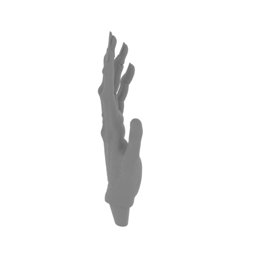 8_Alien_Newborn_hand_L_FDM(repaired).stl