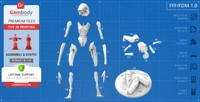 3D printable STL parts of an alien newborn model, displayed on a blue grid layout.