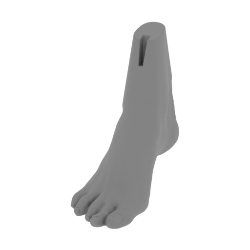 8_foot_R_FDM(repaired).stl