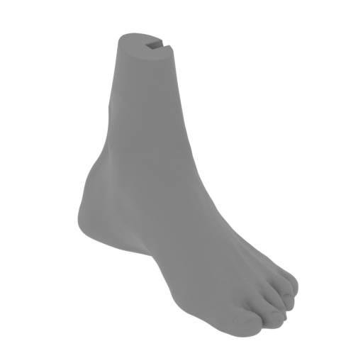 9_foot_L_FDM(repaired).stl