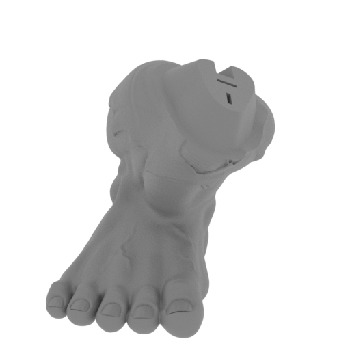 11_foot_R_FDM(repaired).stl