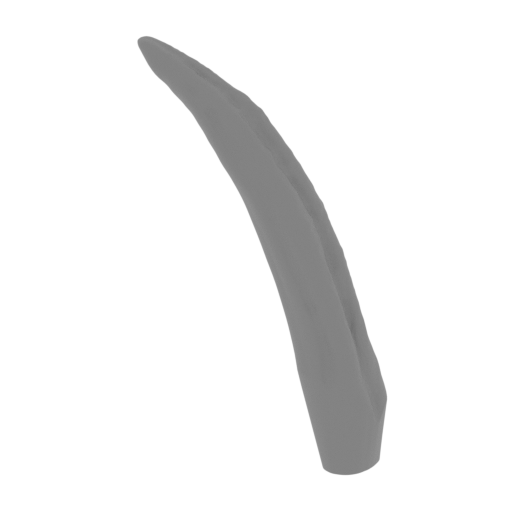 2_tongue_FDM(repaired).stl