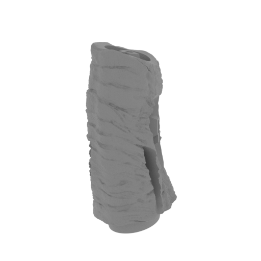 5_pelvis_FDM(repaired).stl