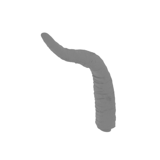 10_tail_5_FDM(repaired).stl