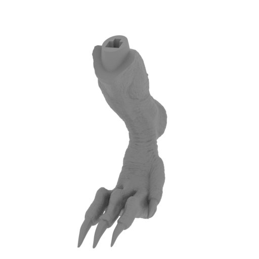 12_foot_R_FDM(repaired).stl