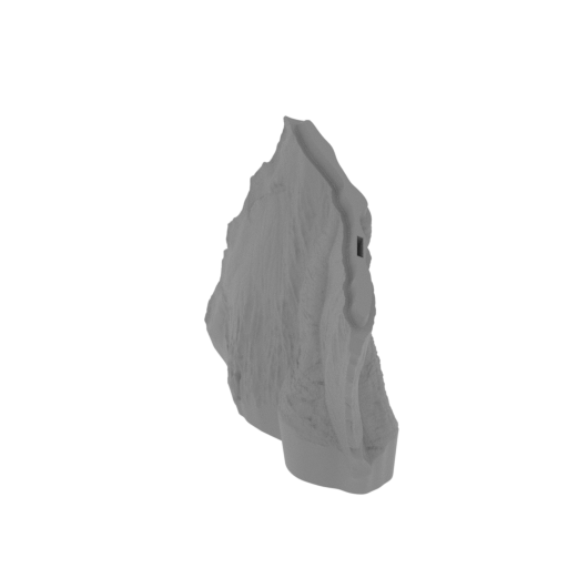 15_wing_R_1_FDM(repaired).stl