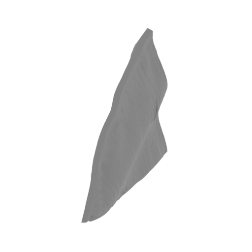 20_wing_R_6_FDM(repaired).stl