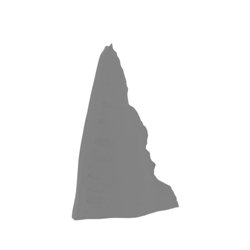 22_wing_R_8_FDM(repaired).stl