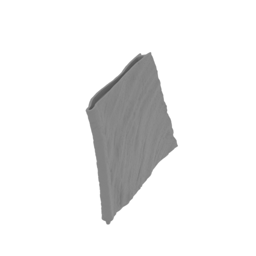 50_wing_L_5_FDM(repaired).stl