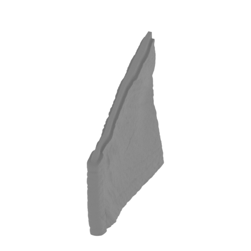 51_wing_L_6_FDM(repaired).stl