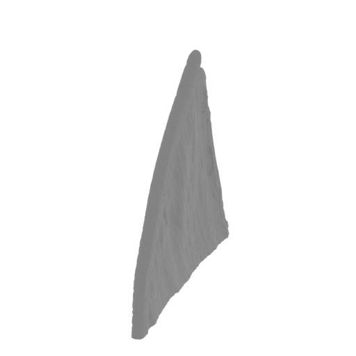 53_wing_L_8_FDM(repaired).stl