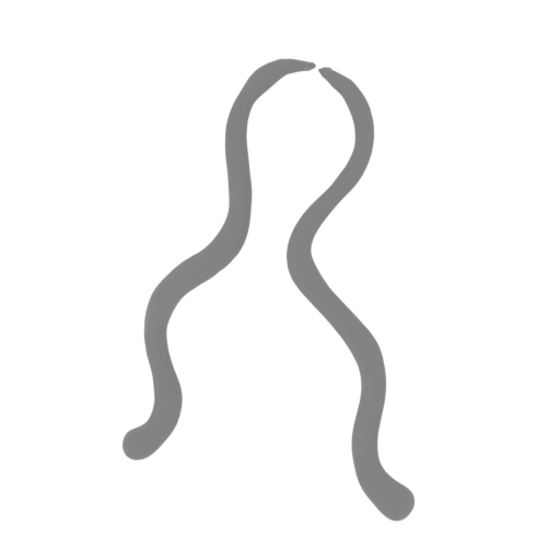 kaido head beard.stl