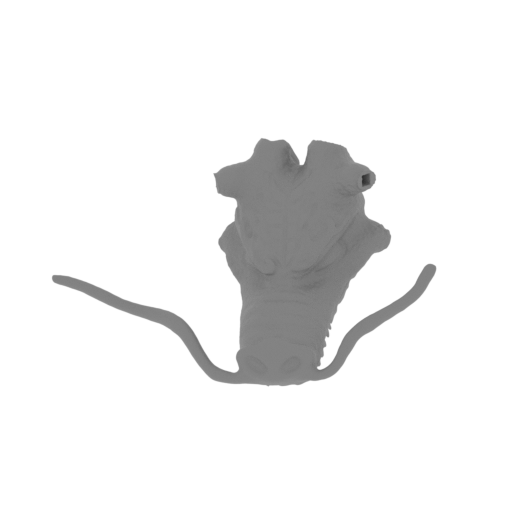 dragonhead p2 without horns.stl