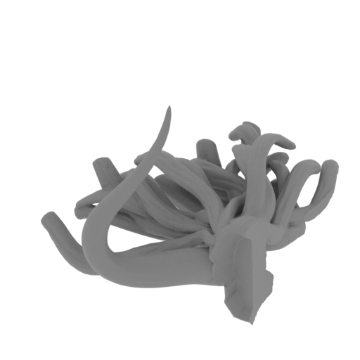 kaido head split backhair p1.stl