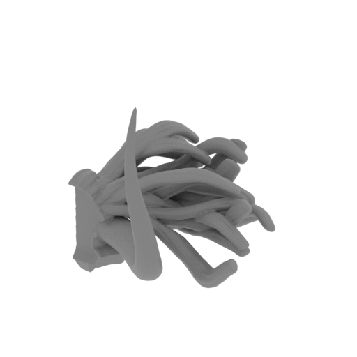 kaido head split backhair p2.stl